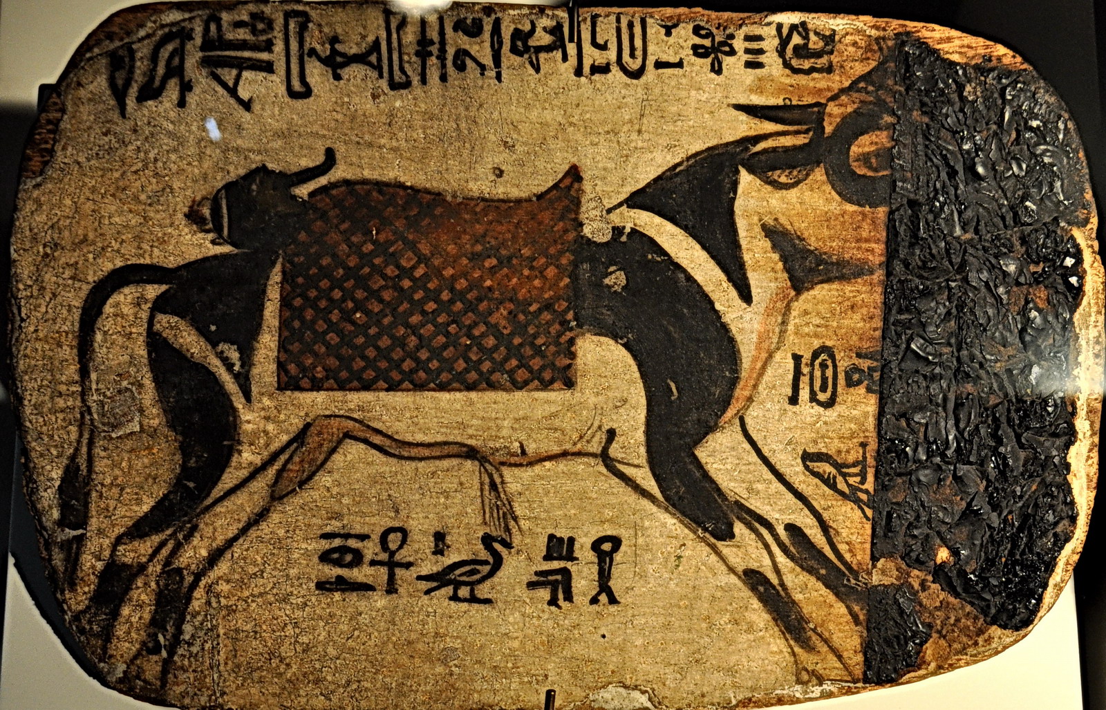 Musée Curtius - taureau Apis